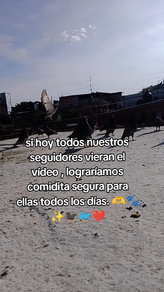 @Adriana Torres ACTUE