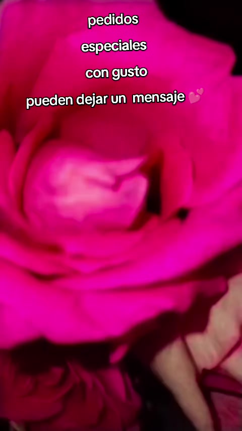 @Pam