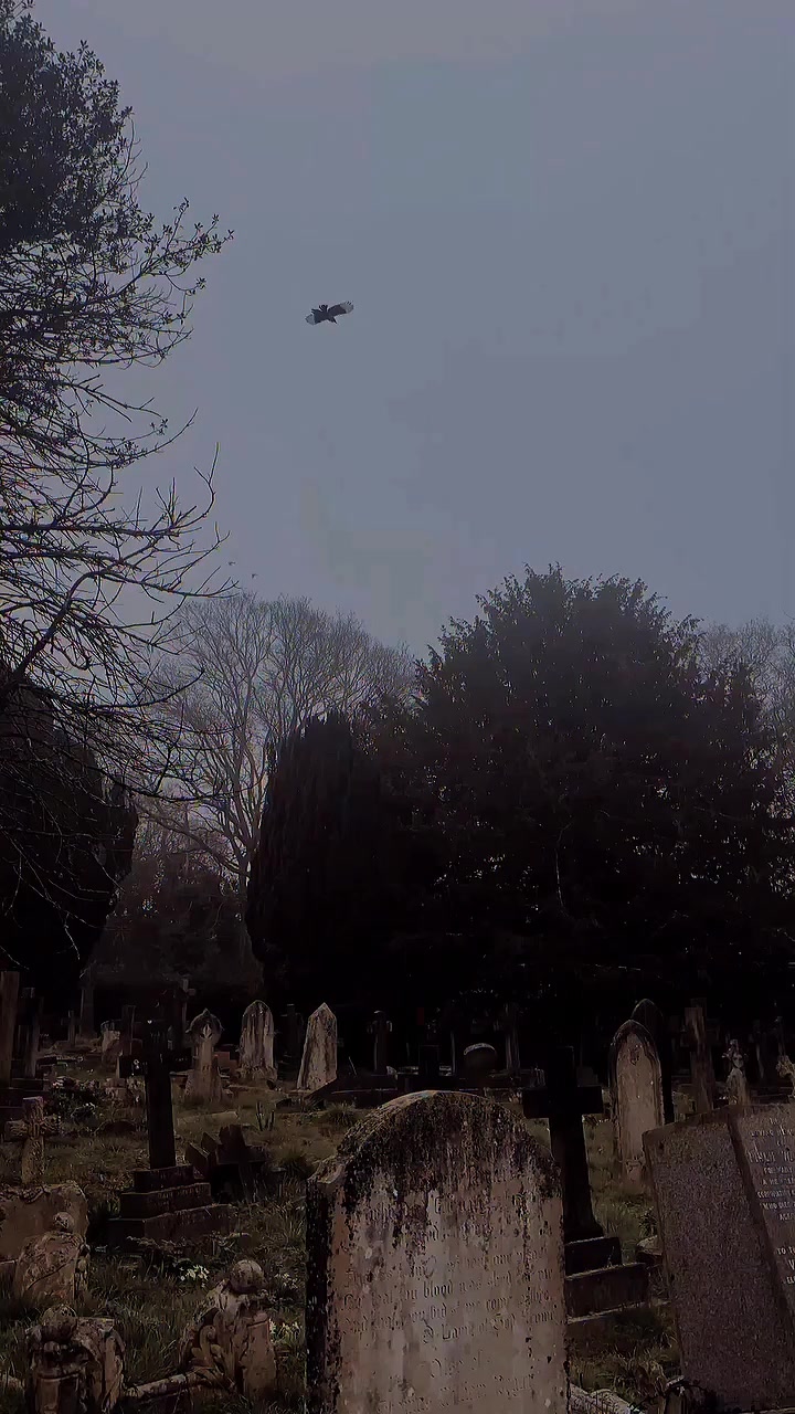 @♱𝓣𝓱𝓮𝓥𝓸𝓲𝓭♱