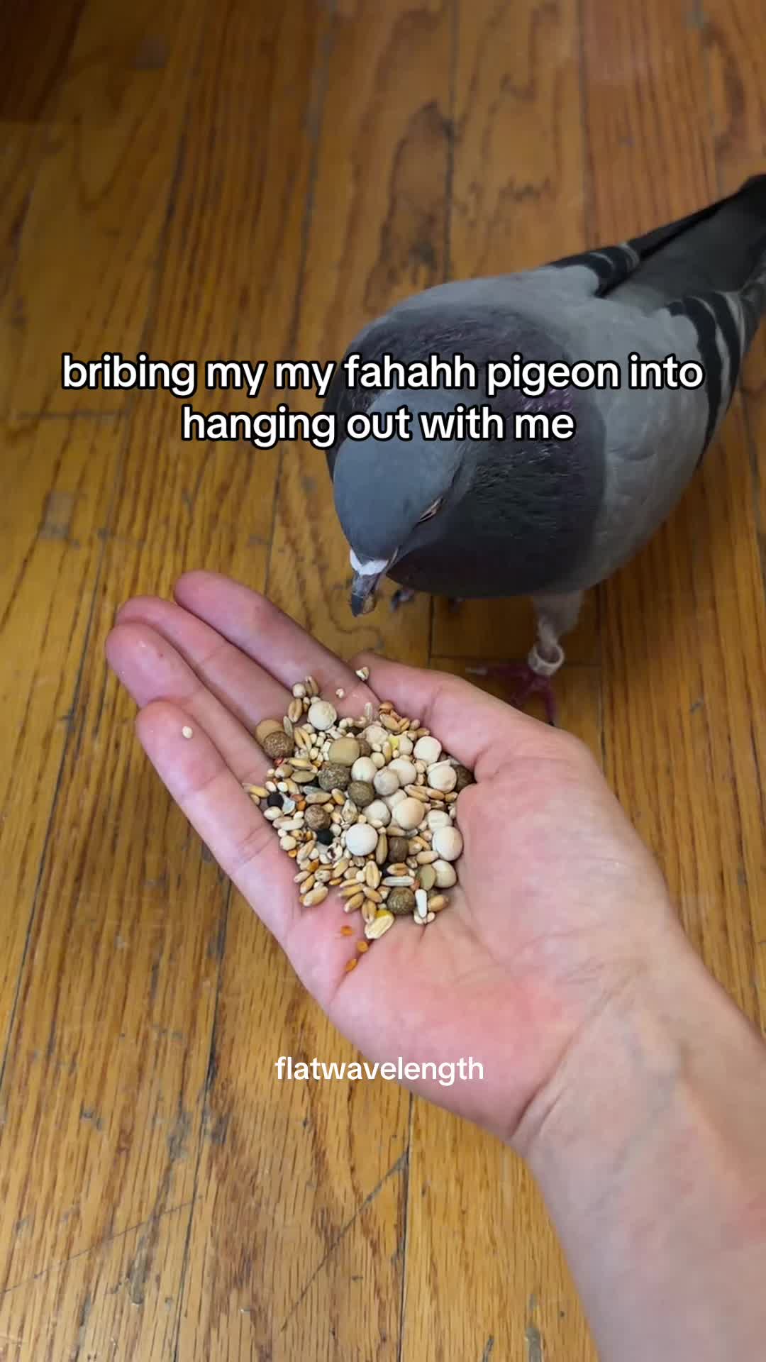 @flatwavelength