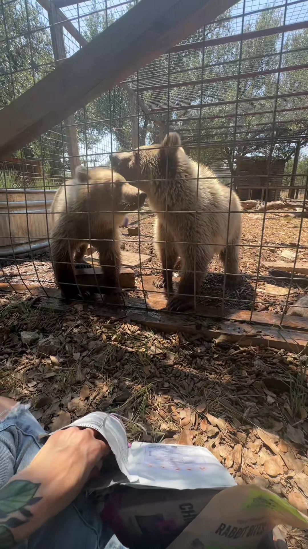 @Texas Wildlife Park
