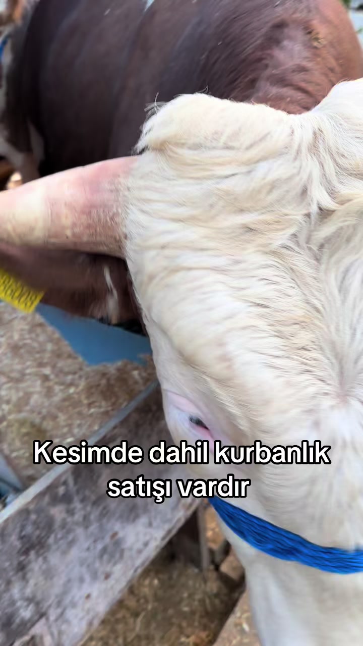 @hatice ile gülümse