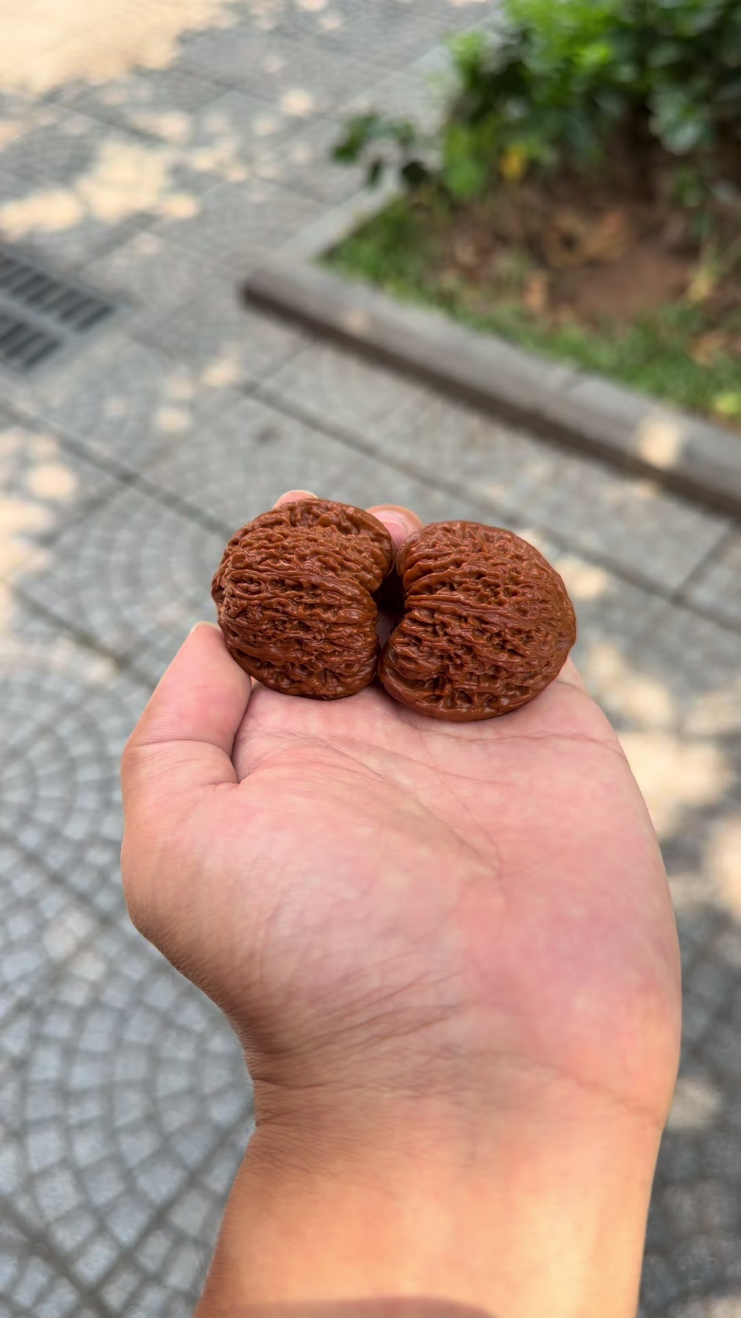 @GẤU HỒ Đ&Agrave;O