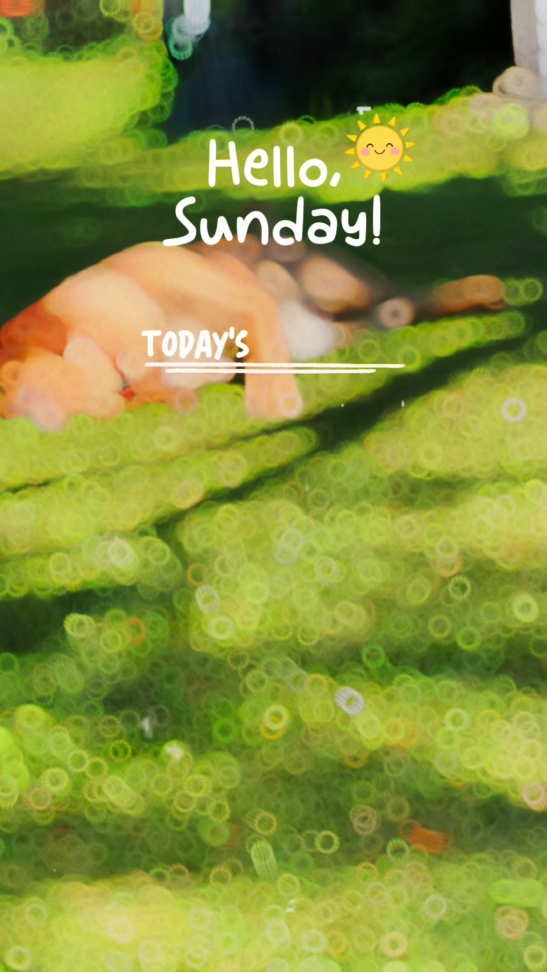 @sarahsighsalot
