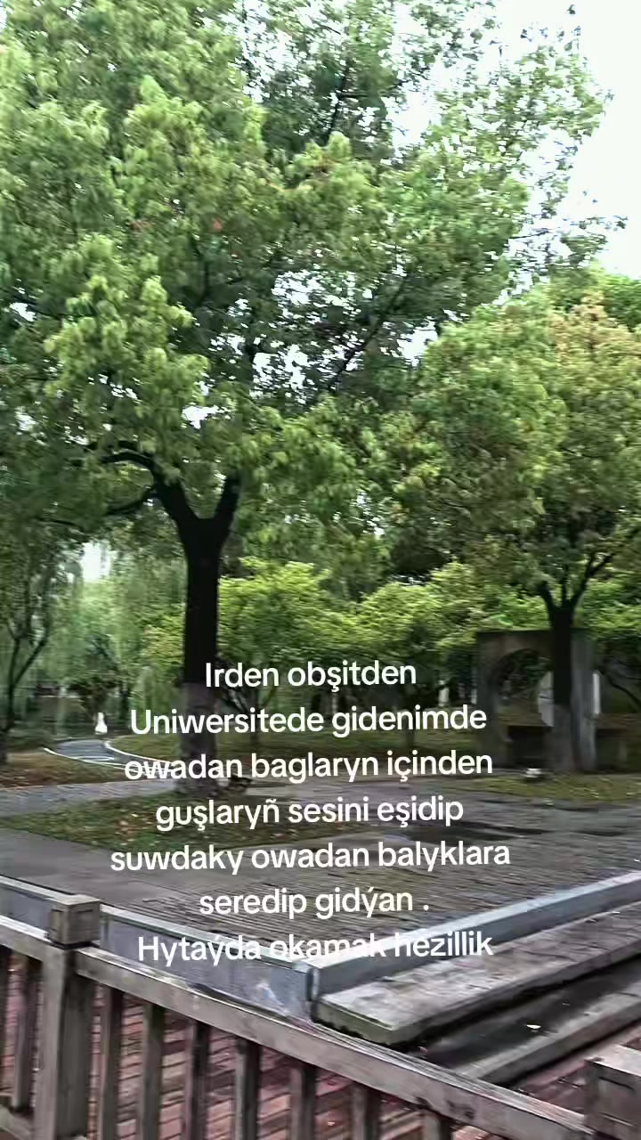 @Ylym we Sy&yacute;ahat