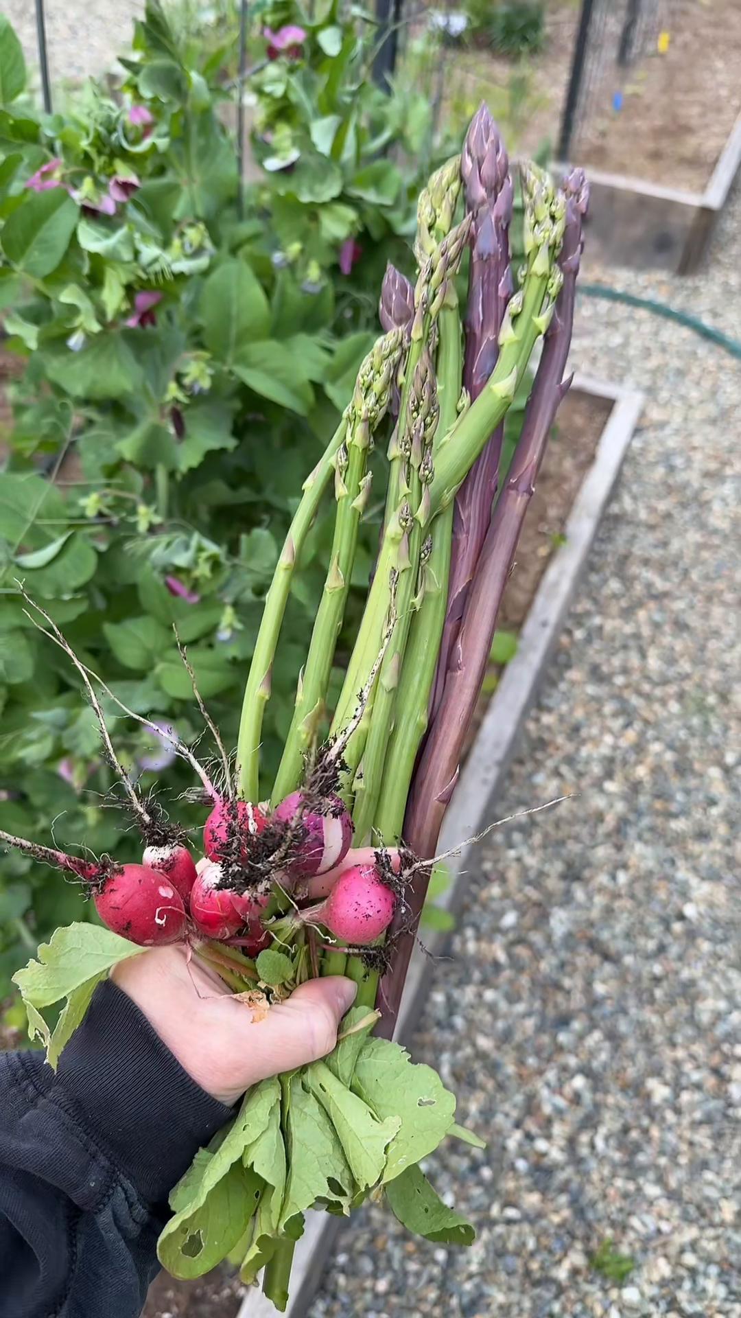 @Gardening&ensp;with&ensp;Tara