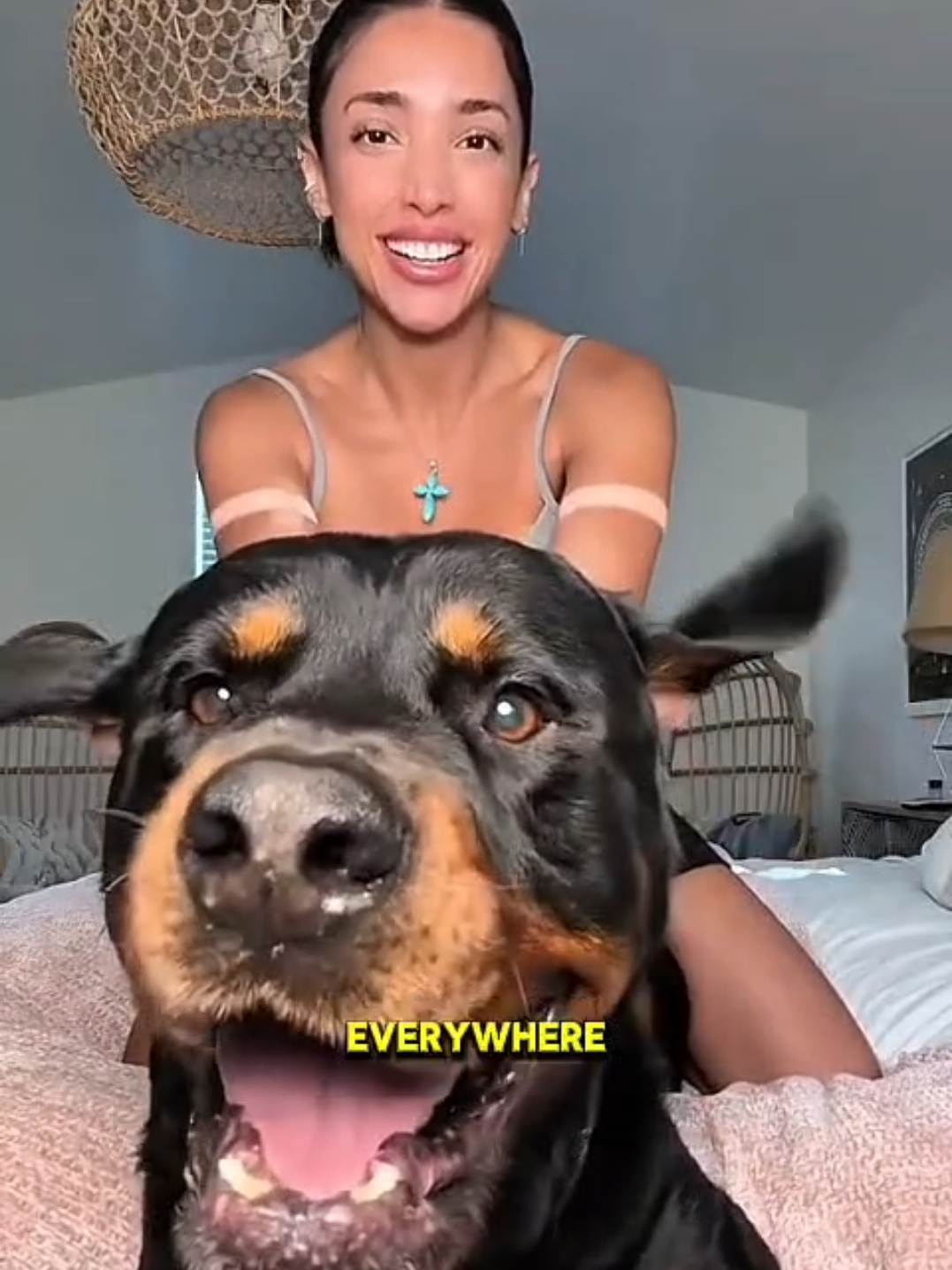 @Dog Breed World