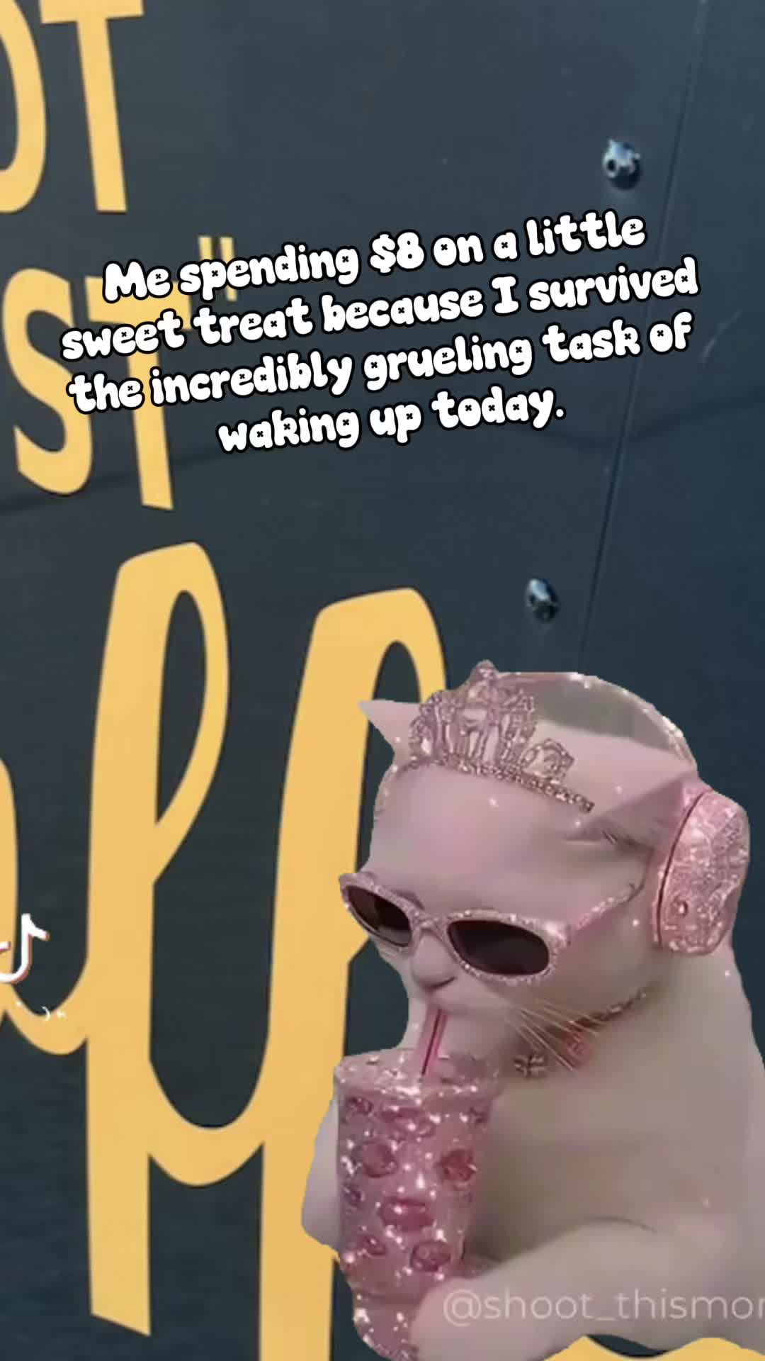 @snackdealer80