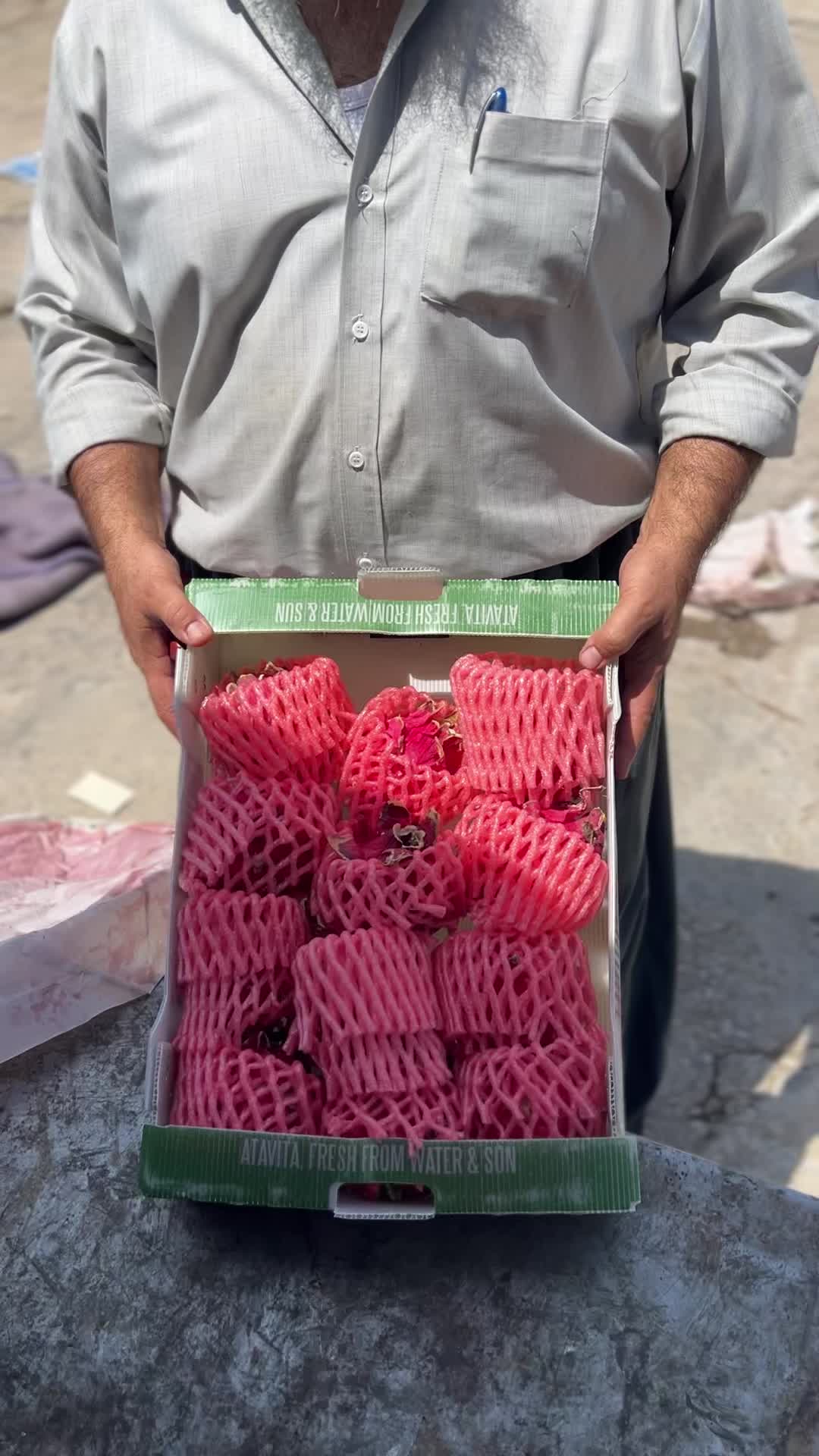 @Risha Darbani🍉🍉🍉