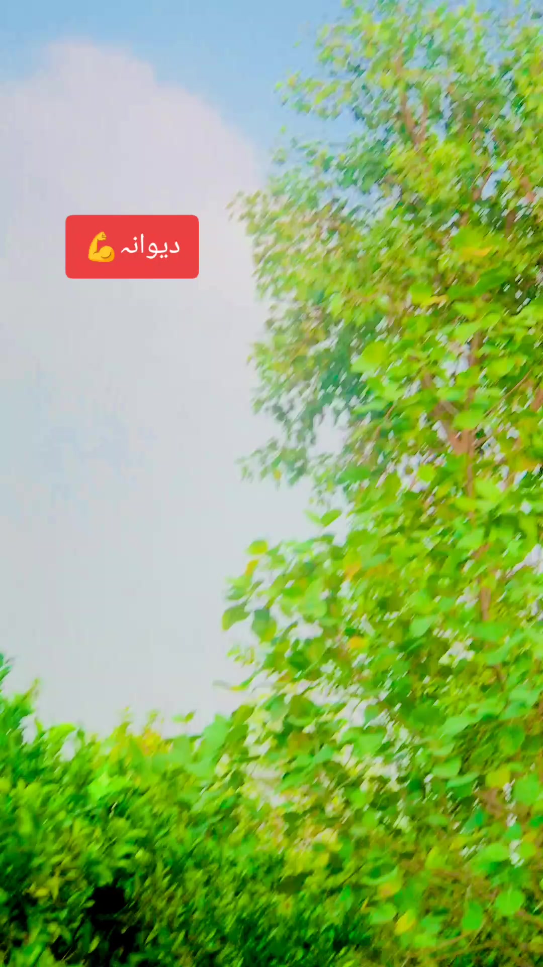 @Ali Nahra