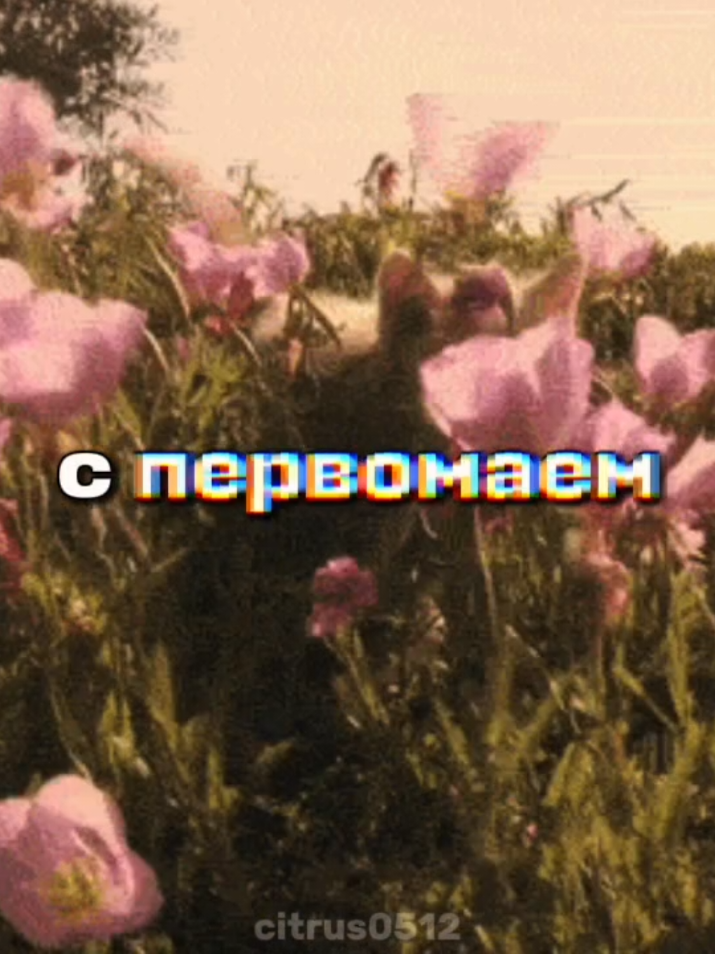 @🍋