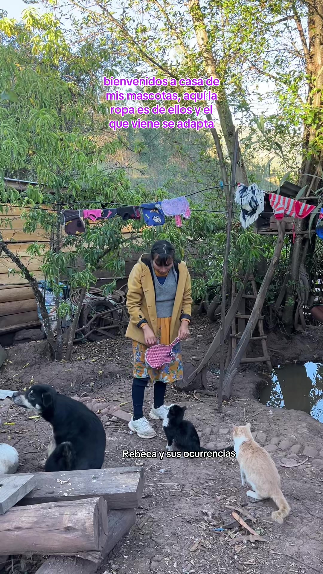 @🐈Rebeca y sus ocurrencias