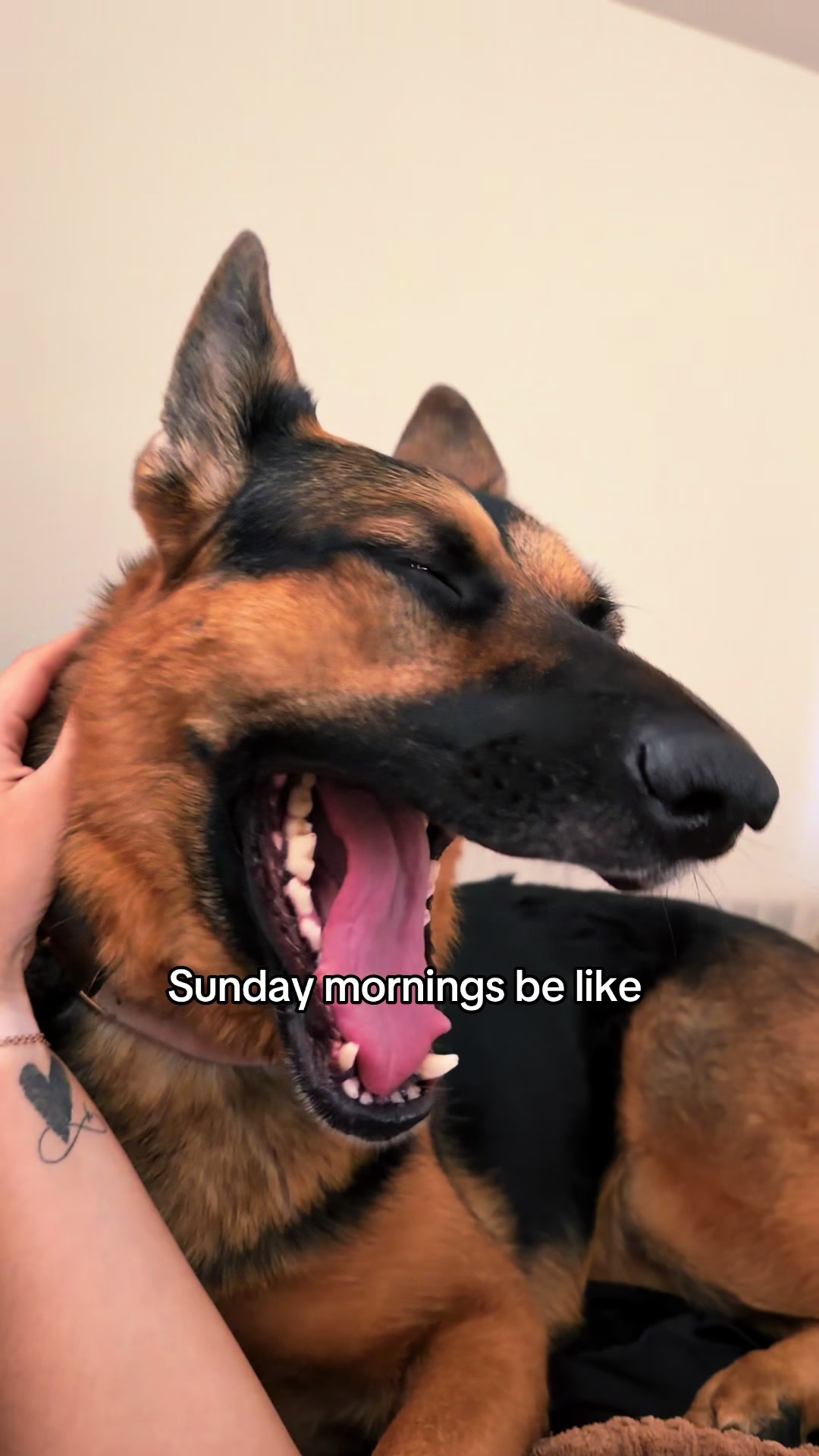 @Rory The Not-Working GSD