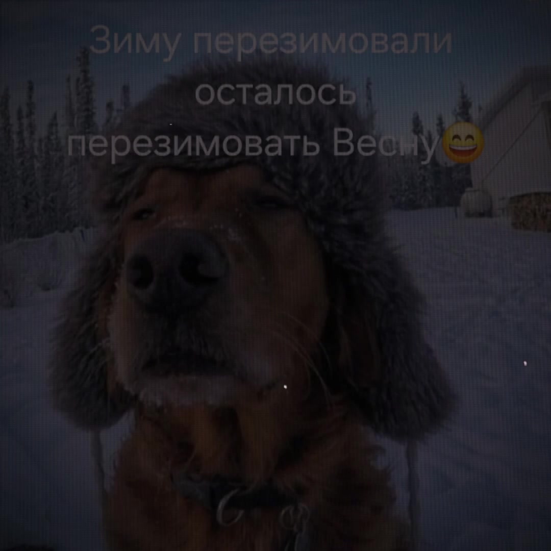 @Ирина 🥳