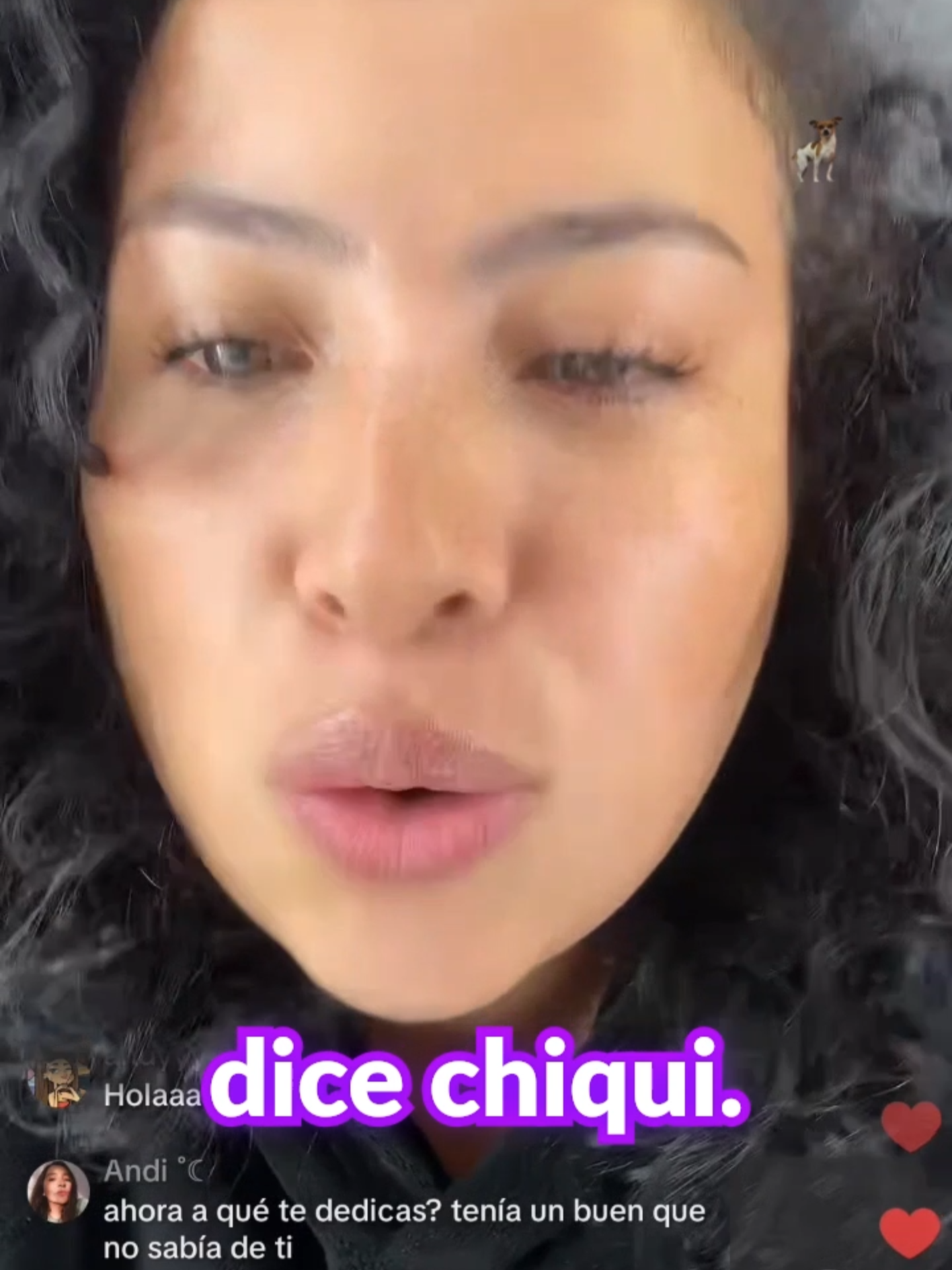 @Chiwis maniwis