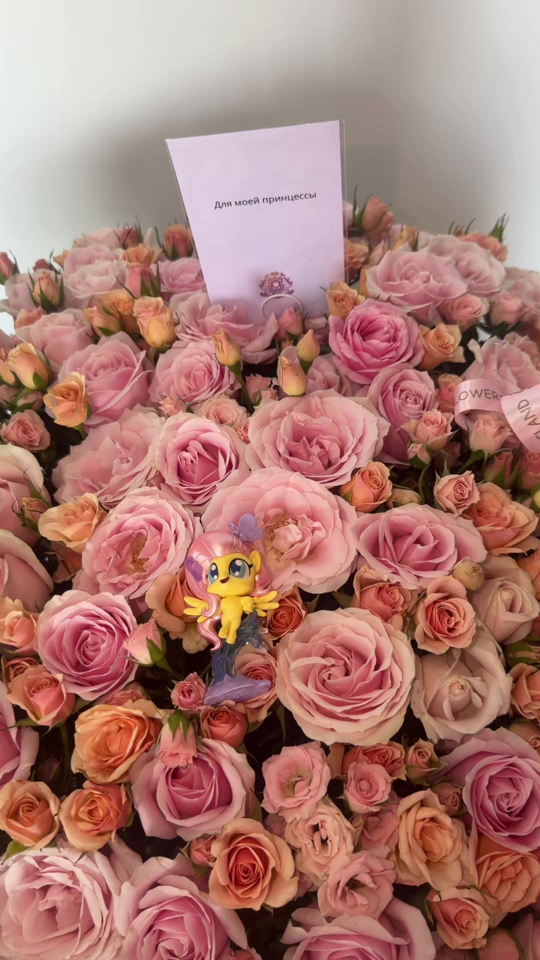 @Лиза Sweet ૮𐙚𓈒. ݂ .𓈒 𐰉