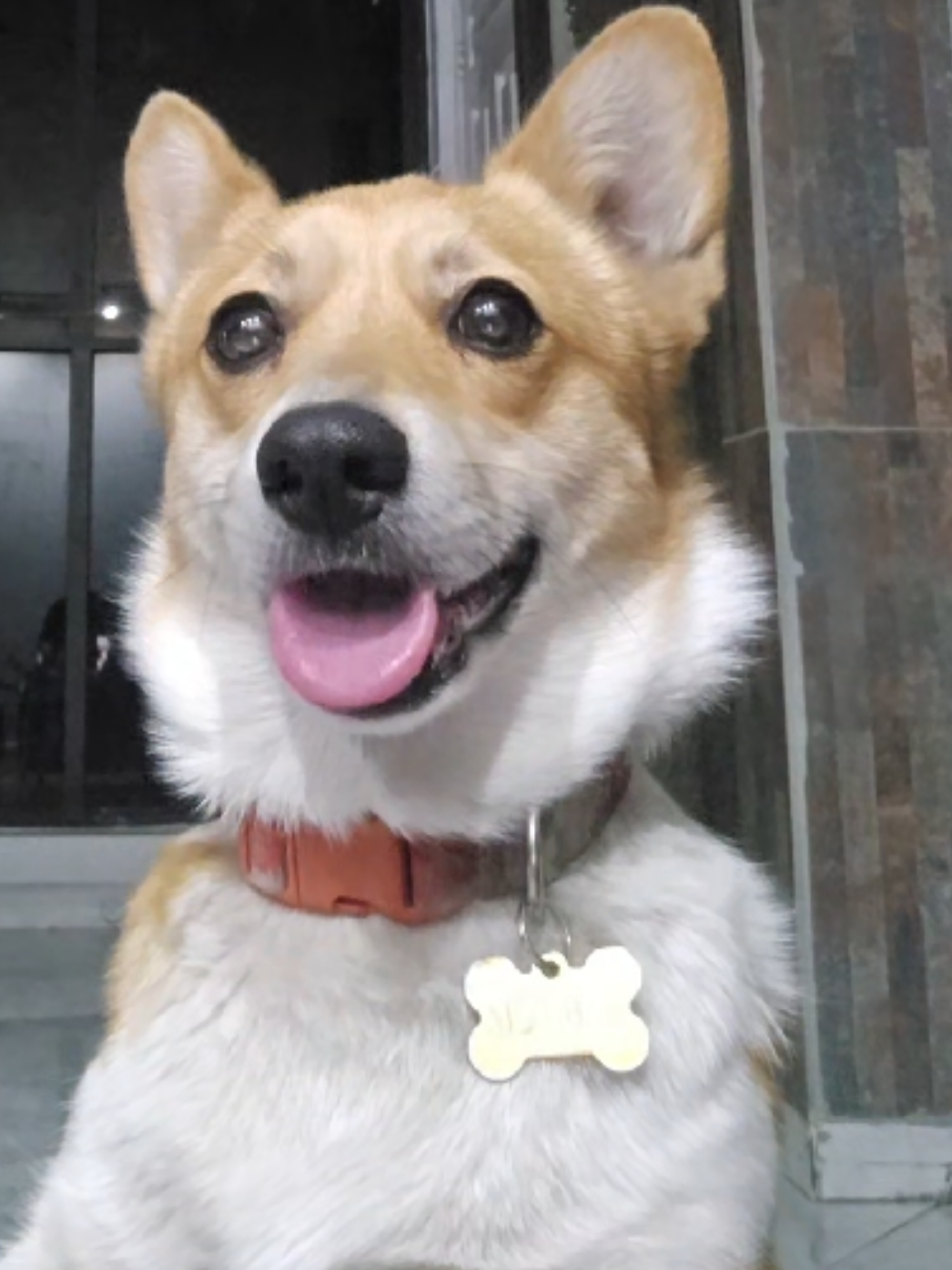 @๐ฉ๐๐๐๐๐