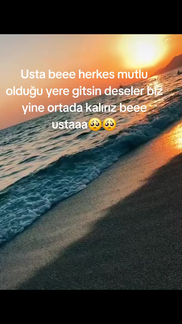 @⚜️wolf usta ⚜️