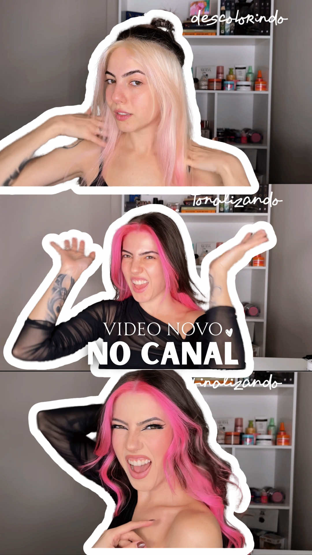 @tammybertolazzi
