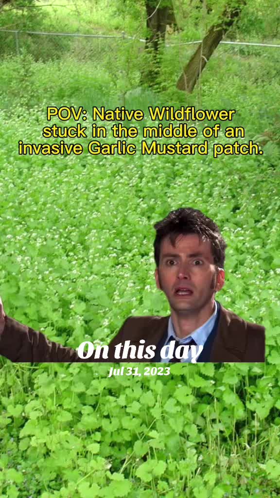 @Naturalist James Anderson