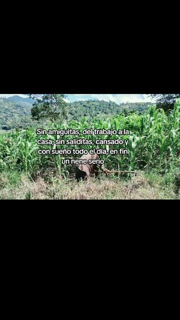 @Reyes