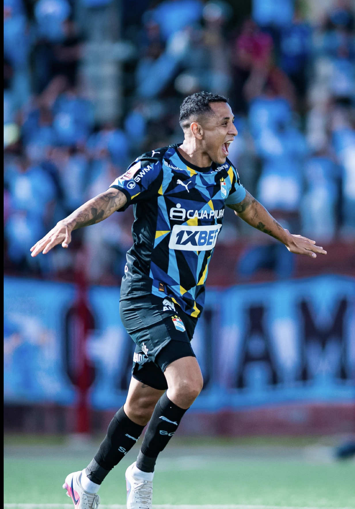 @Liga de F&uacute;tbol Profesional