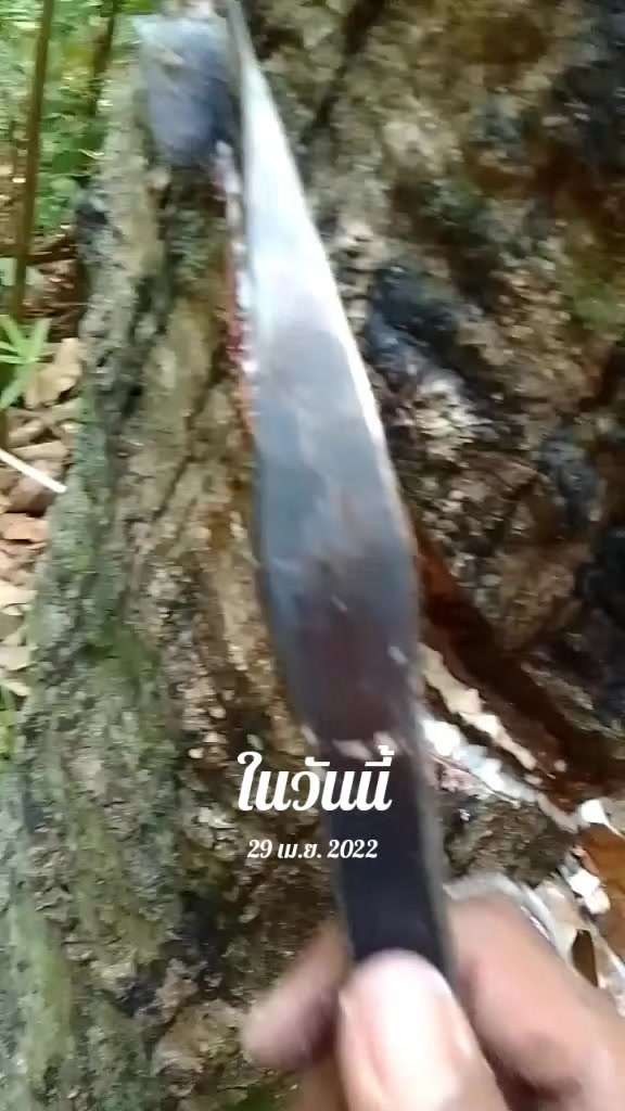 @Yee 1996🇹🇭