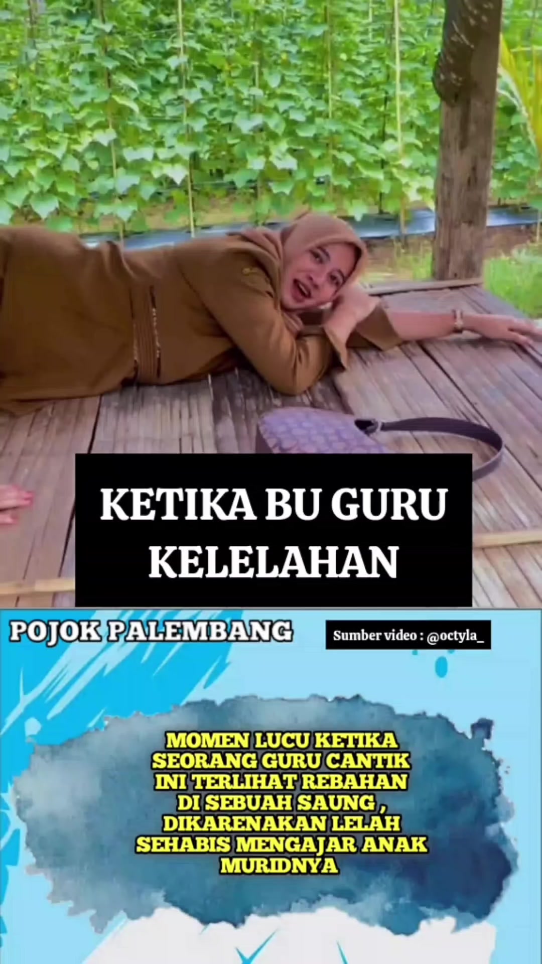 @komentar 62