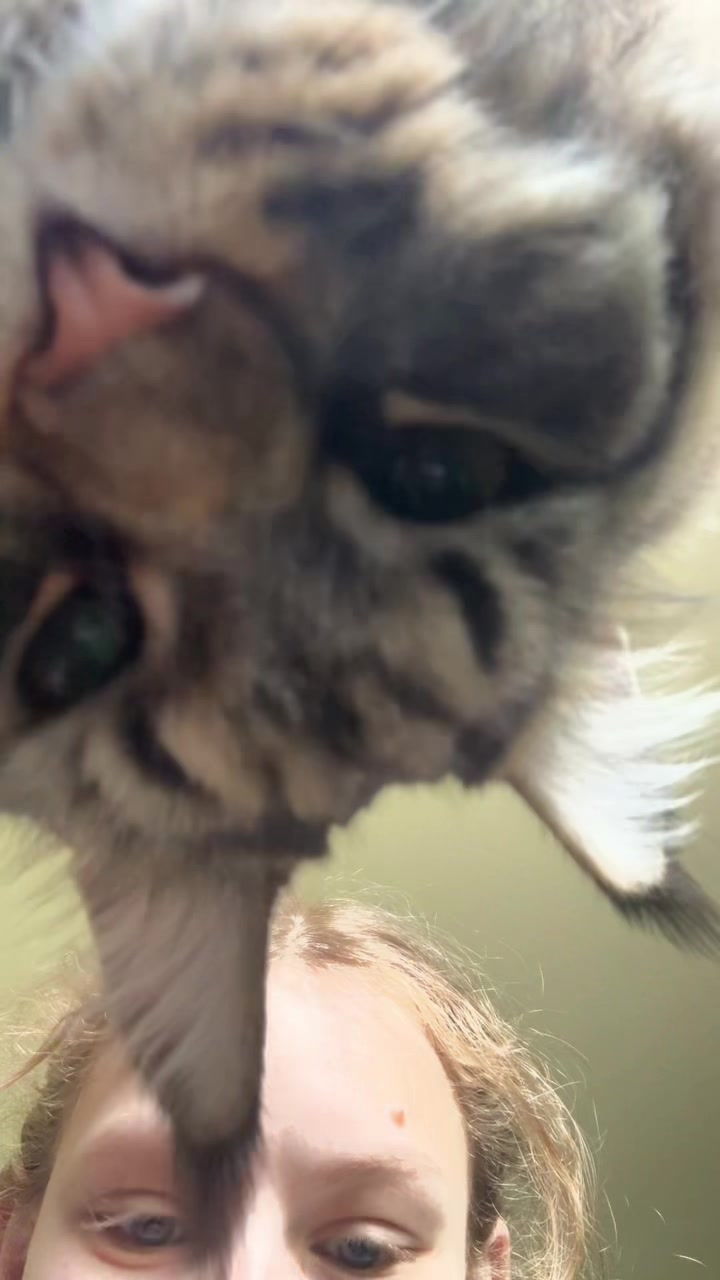 @maryyy🍄🧚🌙🐈&zwj;⬛