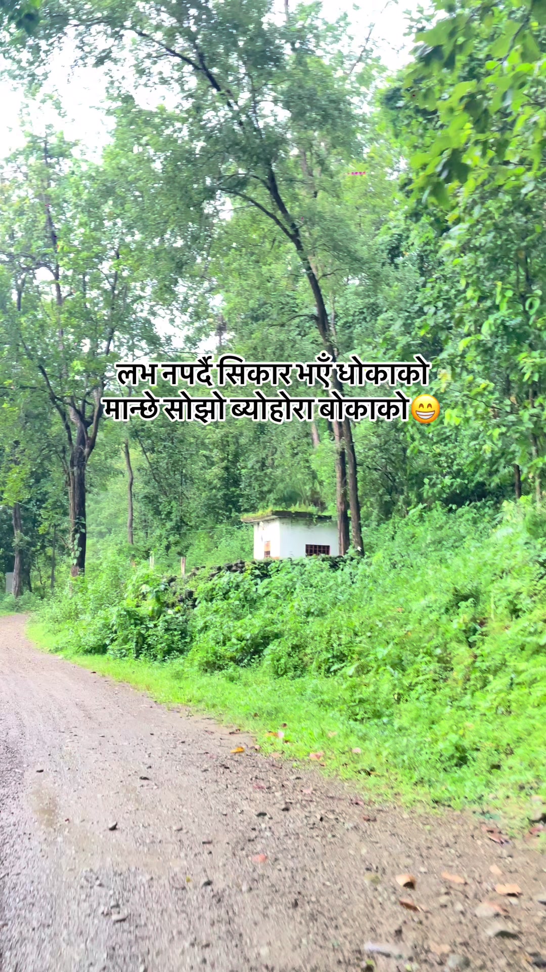 @Uneesh Poon Magar✅