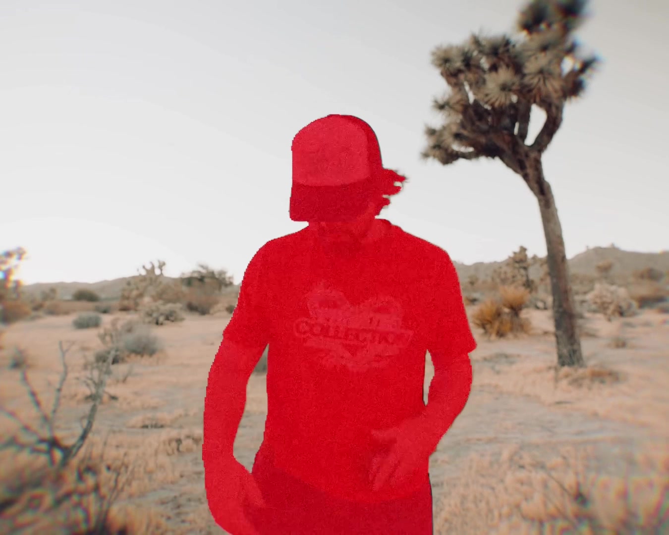 @Cult2