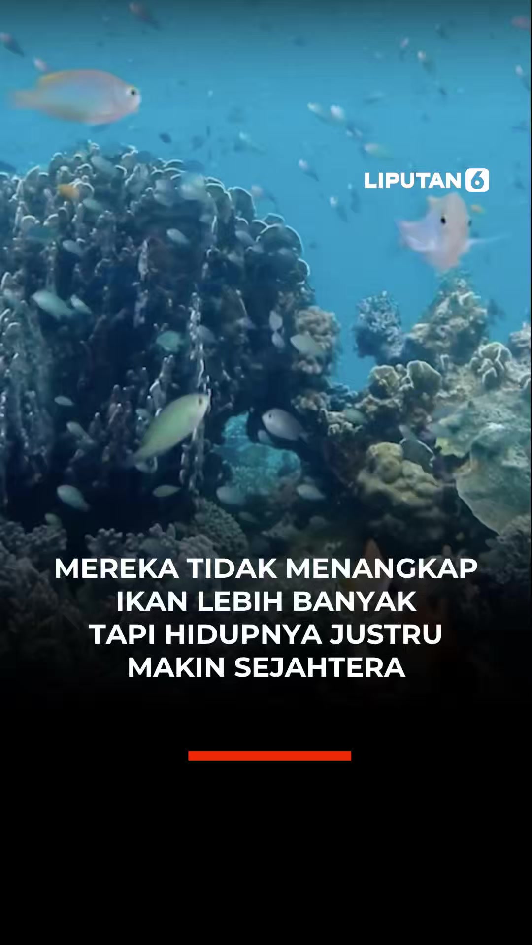 @liputan6.com
