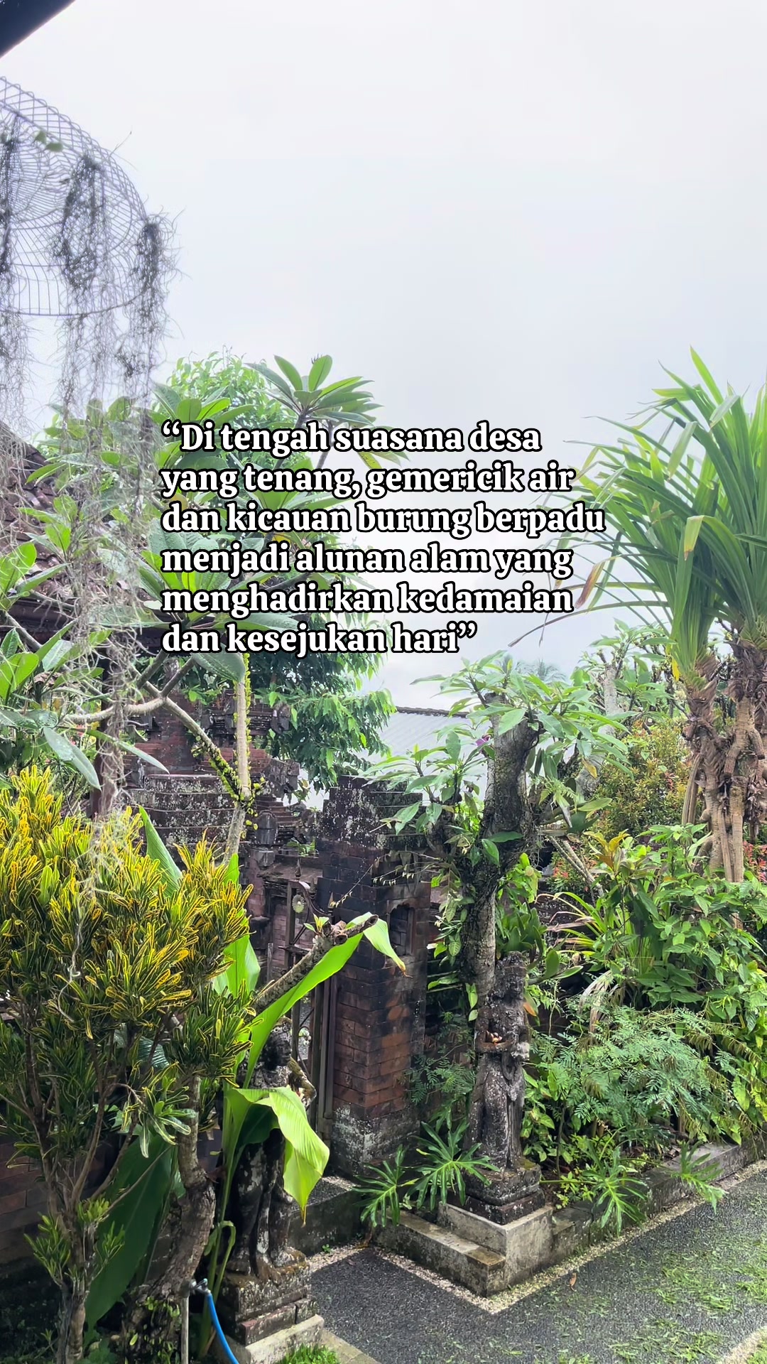 @Sentir_nurbali.com