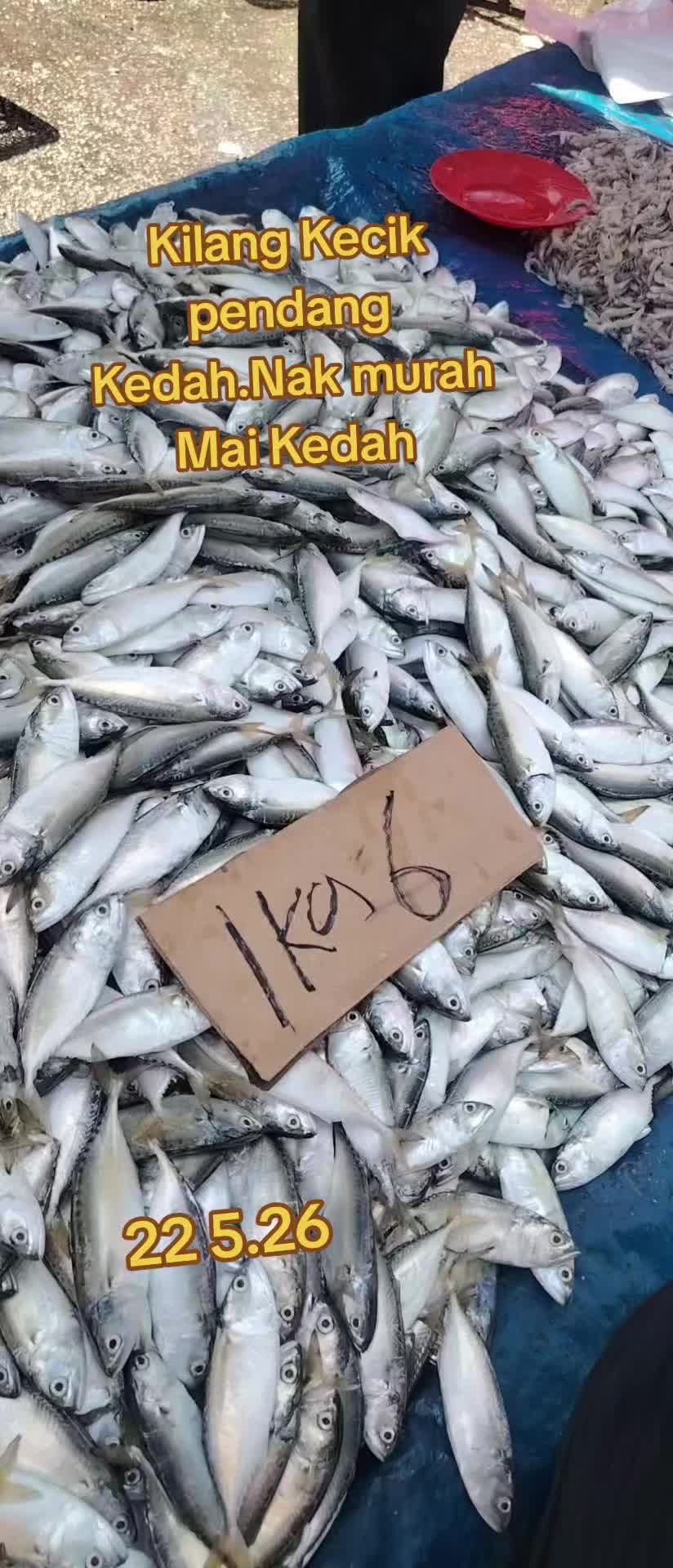 @Dj Edd