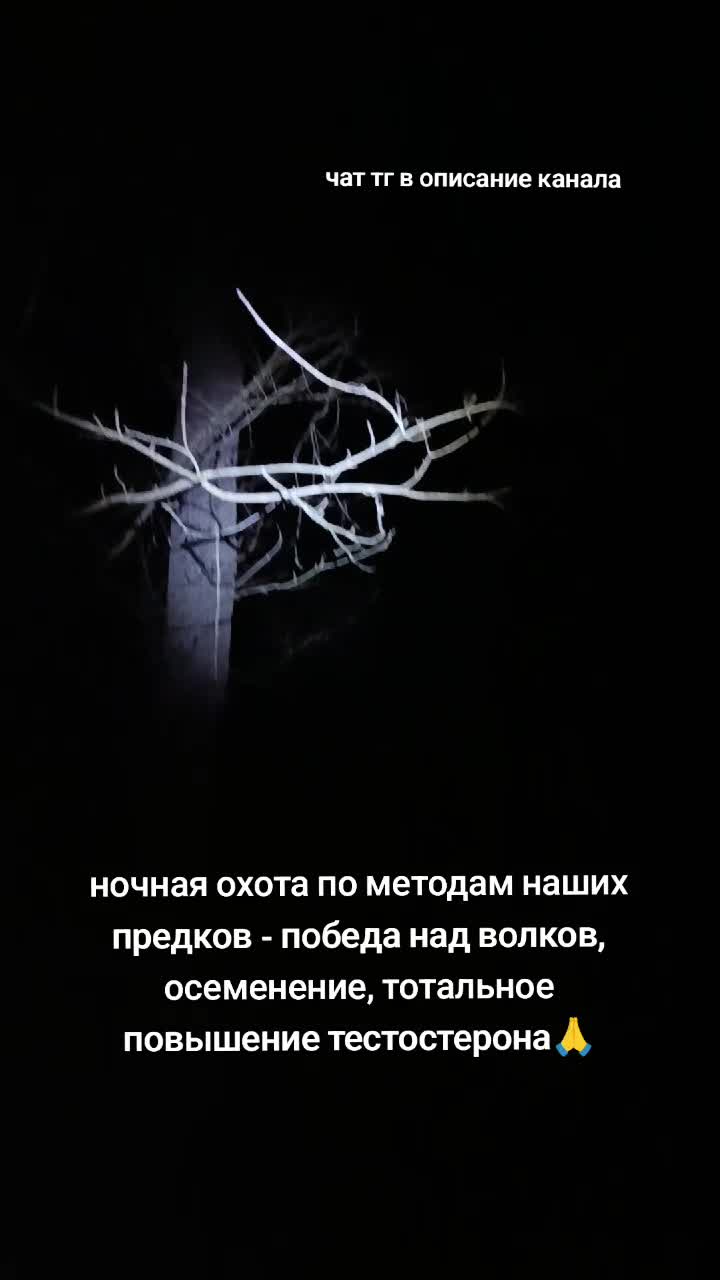 @Лучезарный хрякᛉ