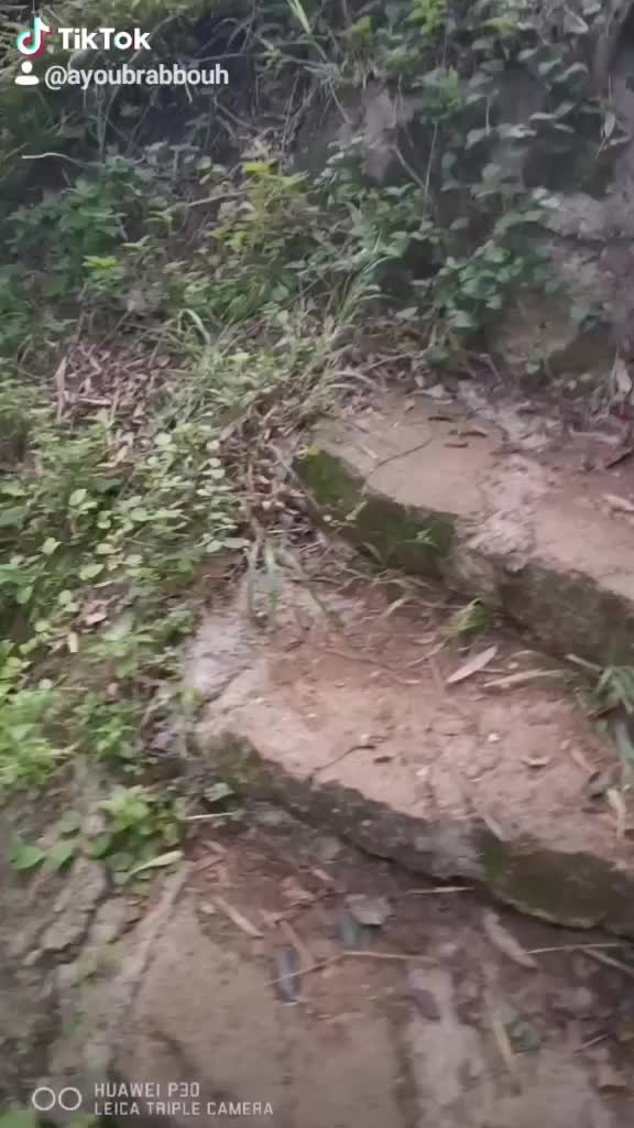 @ₐyₒᵤb ᵣₐbbₒᵤₕ