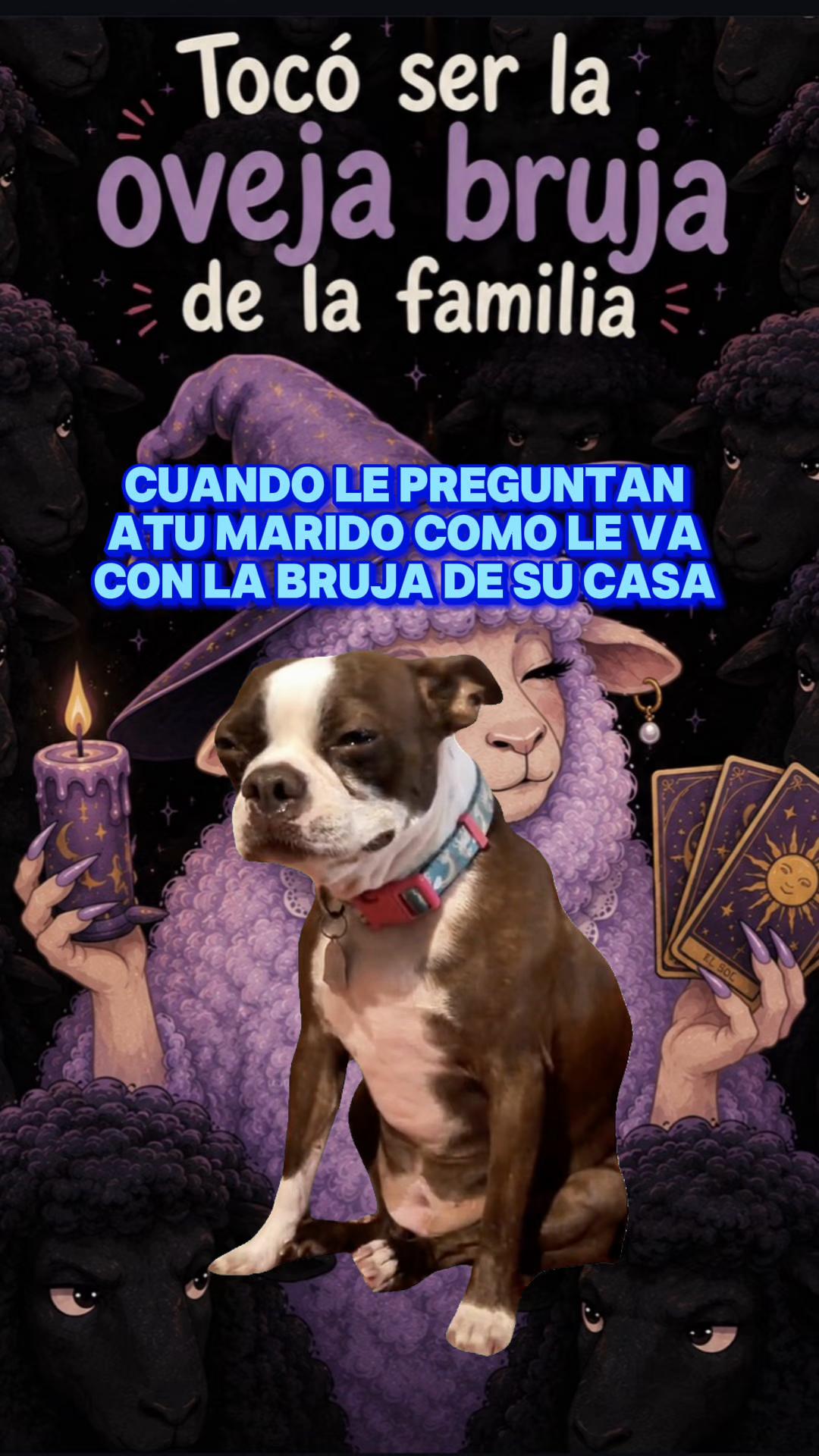 @sandyeleguacita
