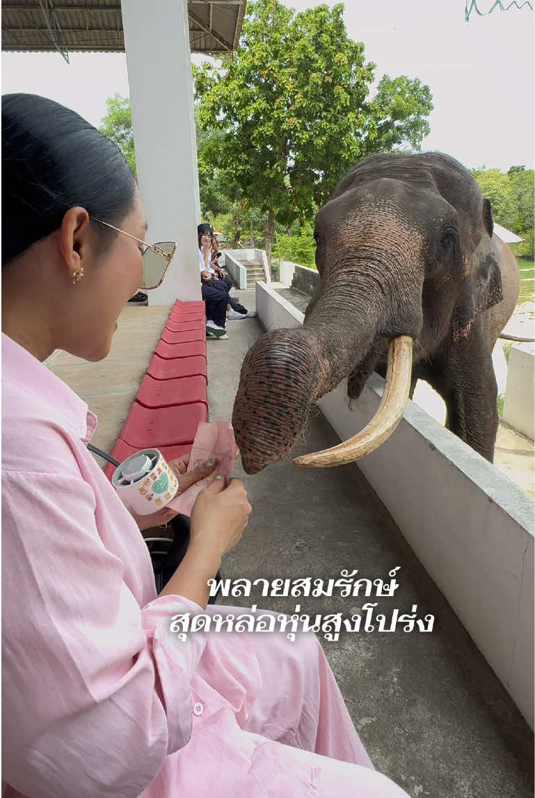@หญิง ธิติกานต์ Official