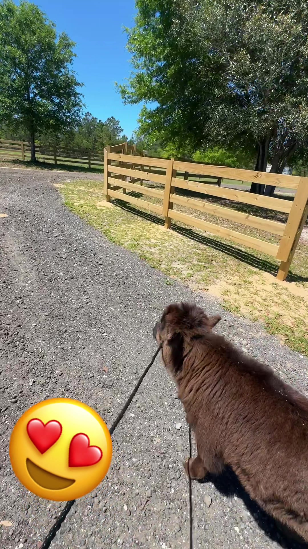 @WildernessRanch
