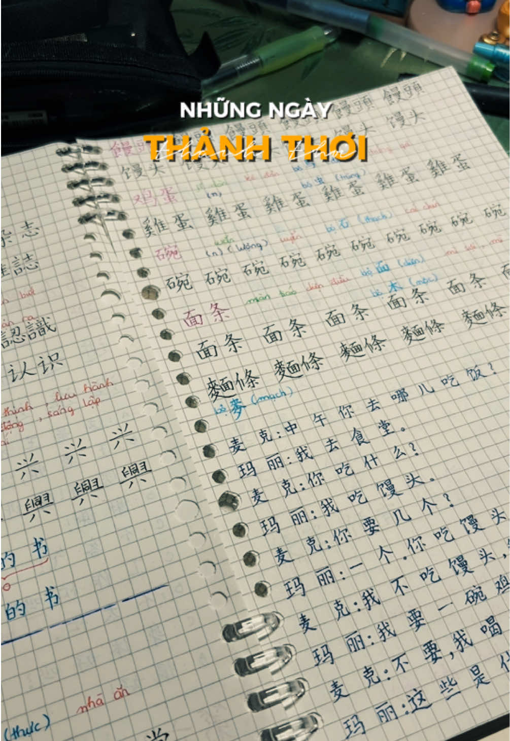 @🌷Mộc Mộc🌱木木丽红