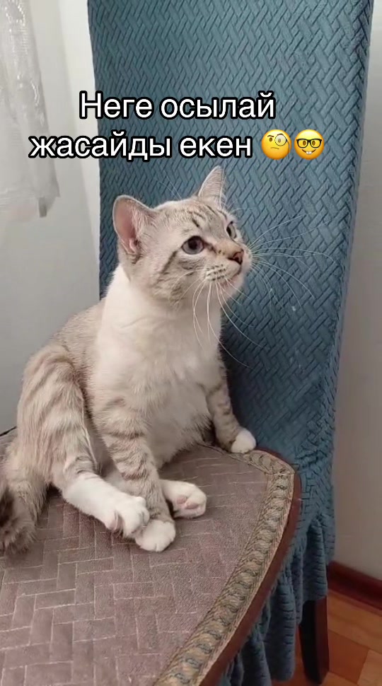 @Асель