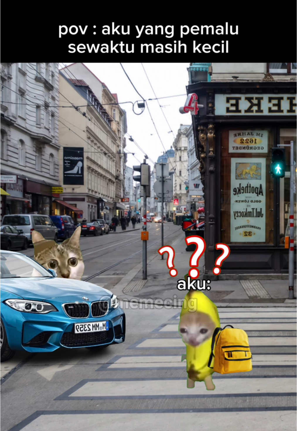 @Memecing