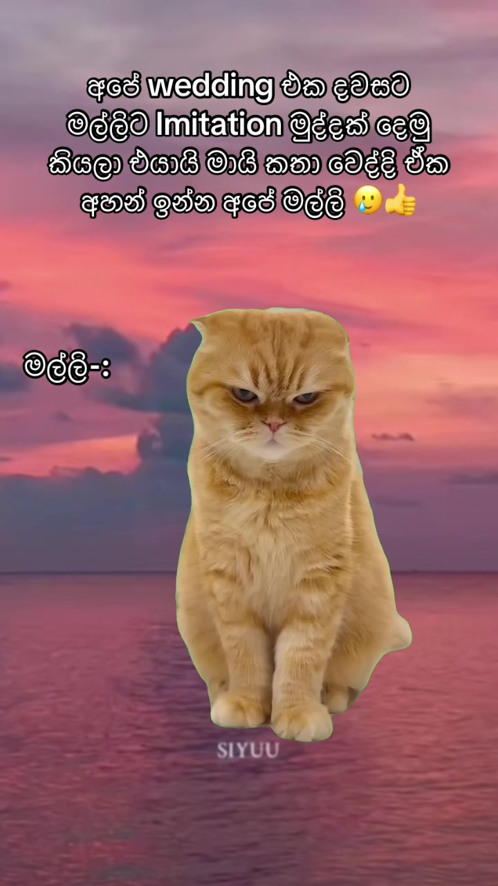 @Nish 💍🧚☁️