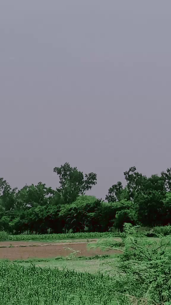 @Zahidjutt