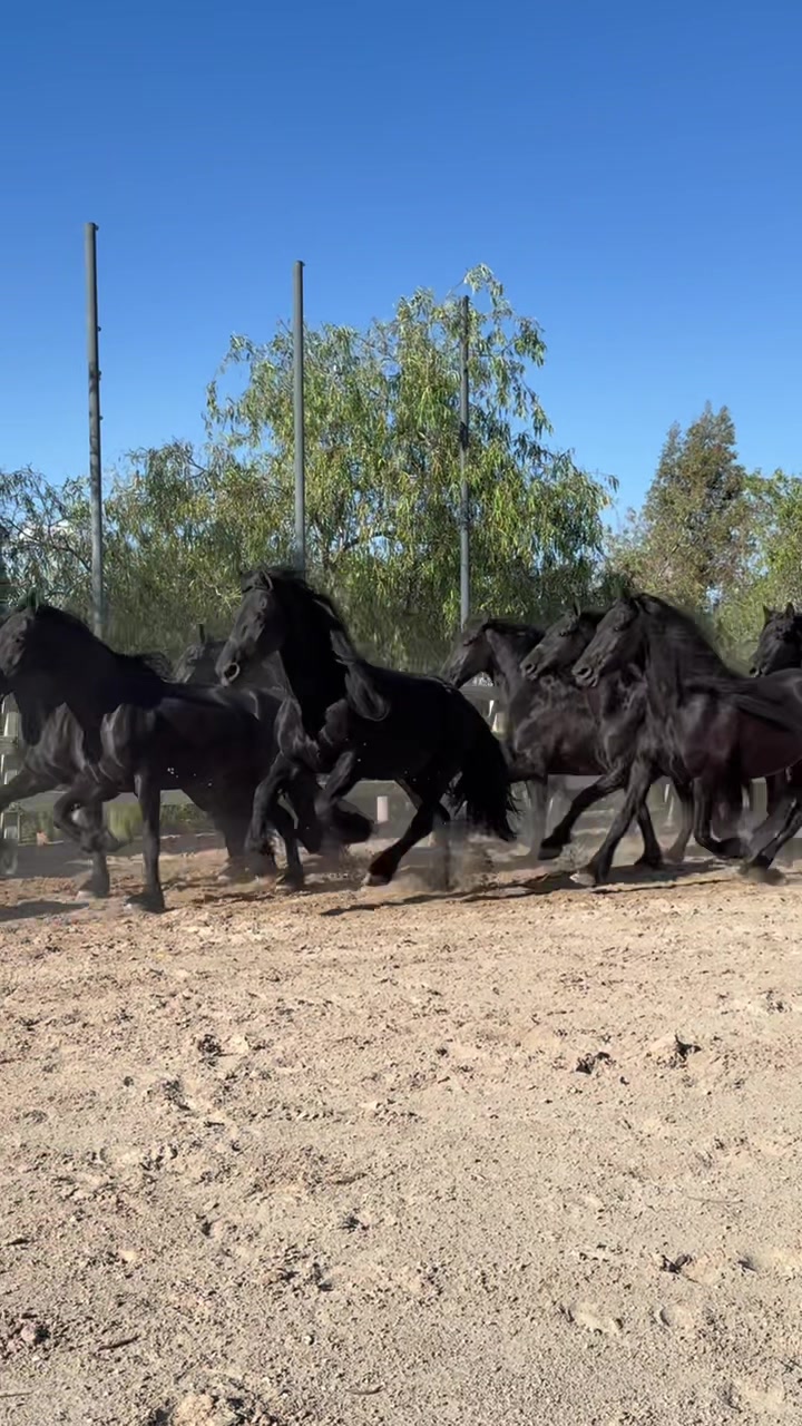 @Rancho el descanso GDL