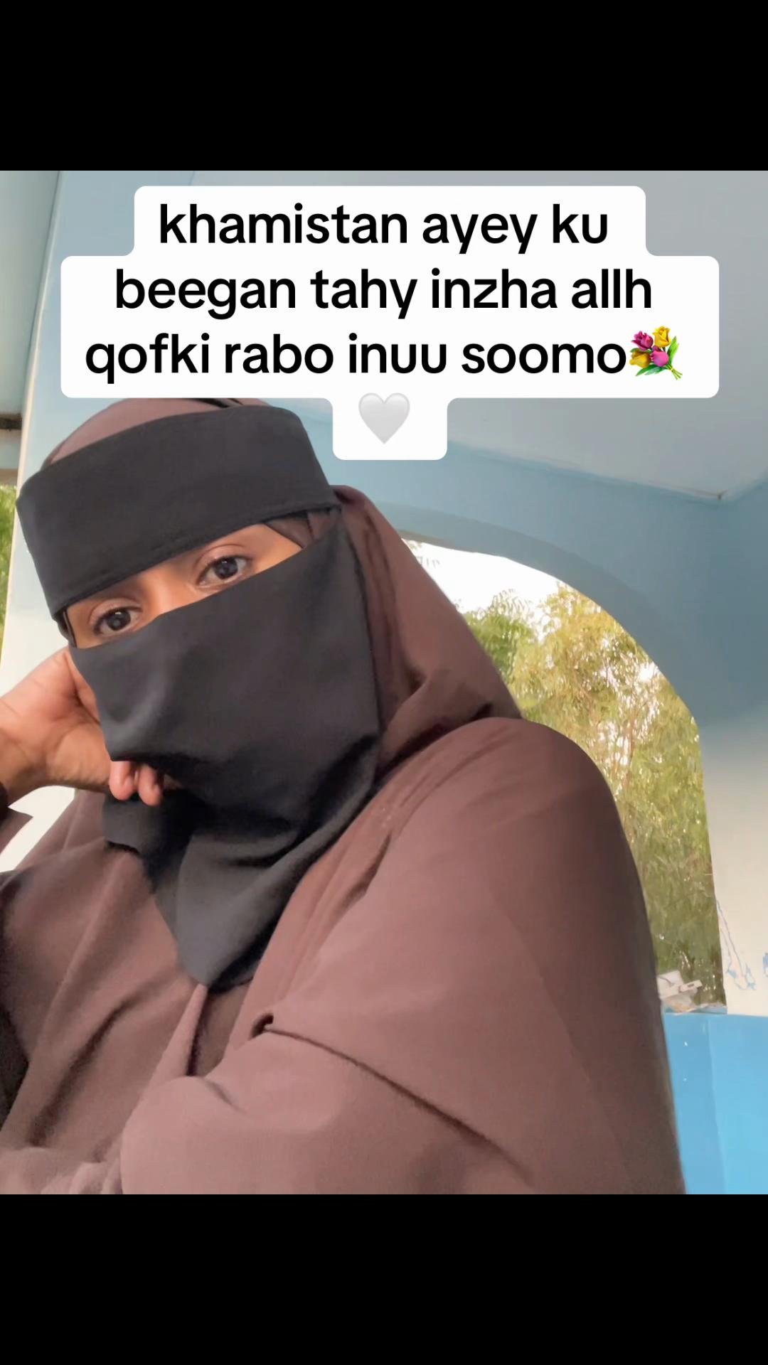 @Arwo~Abshir