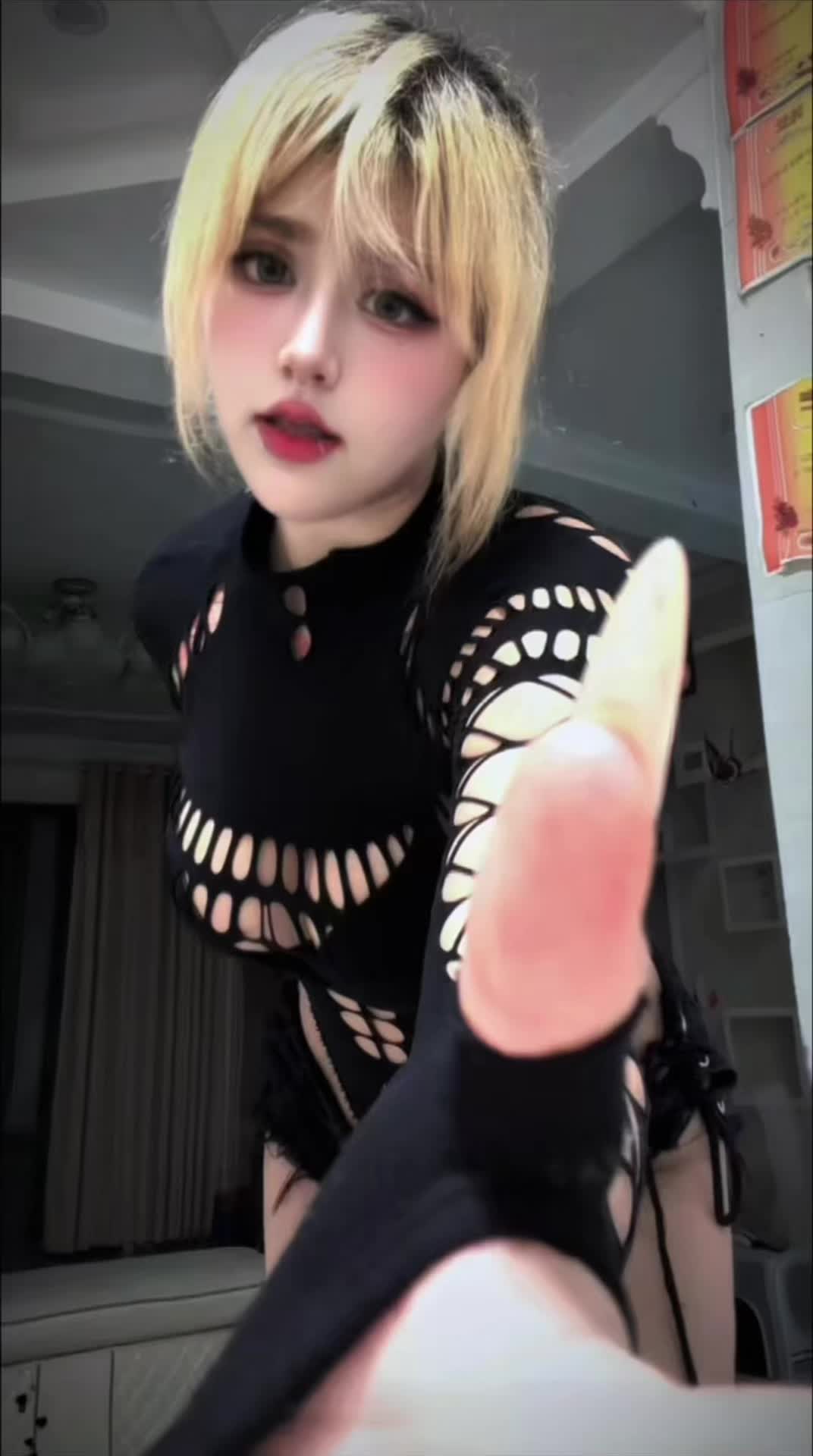 @Calico 카리코 🐈⬛