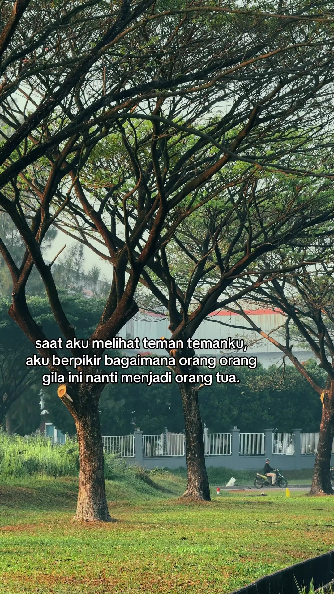 @Lyrics Music