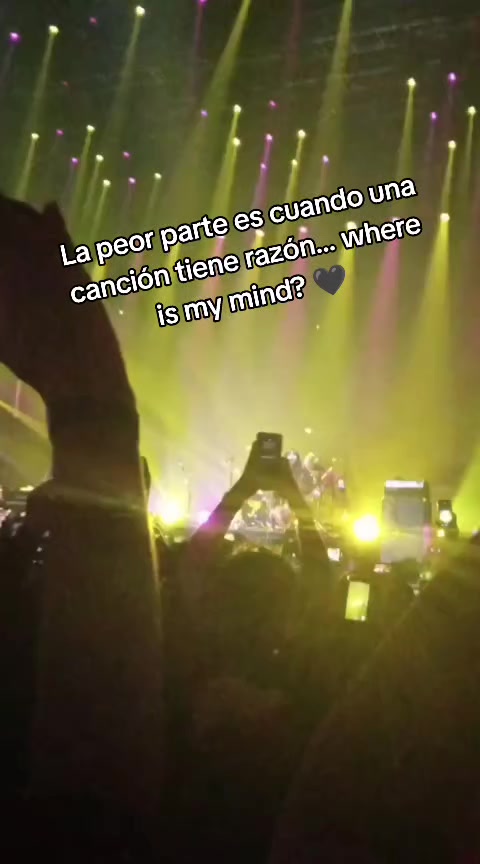 @Reddy Belén
