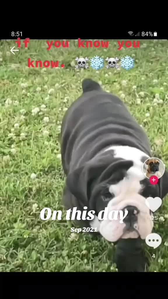 @Ángeles 🇲🇽